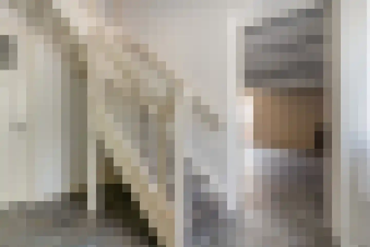 Spekopswijk 27 Dedemsvaart thumbnail 58
