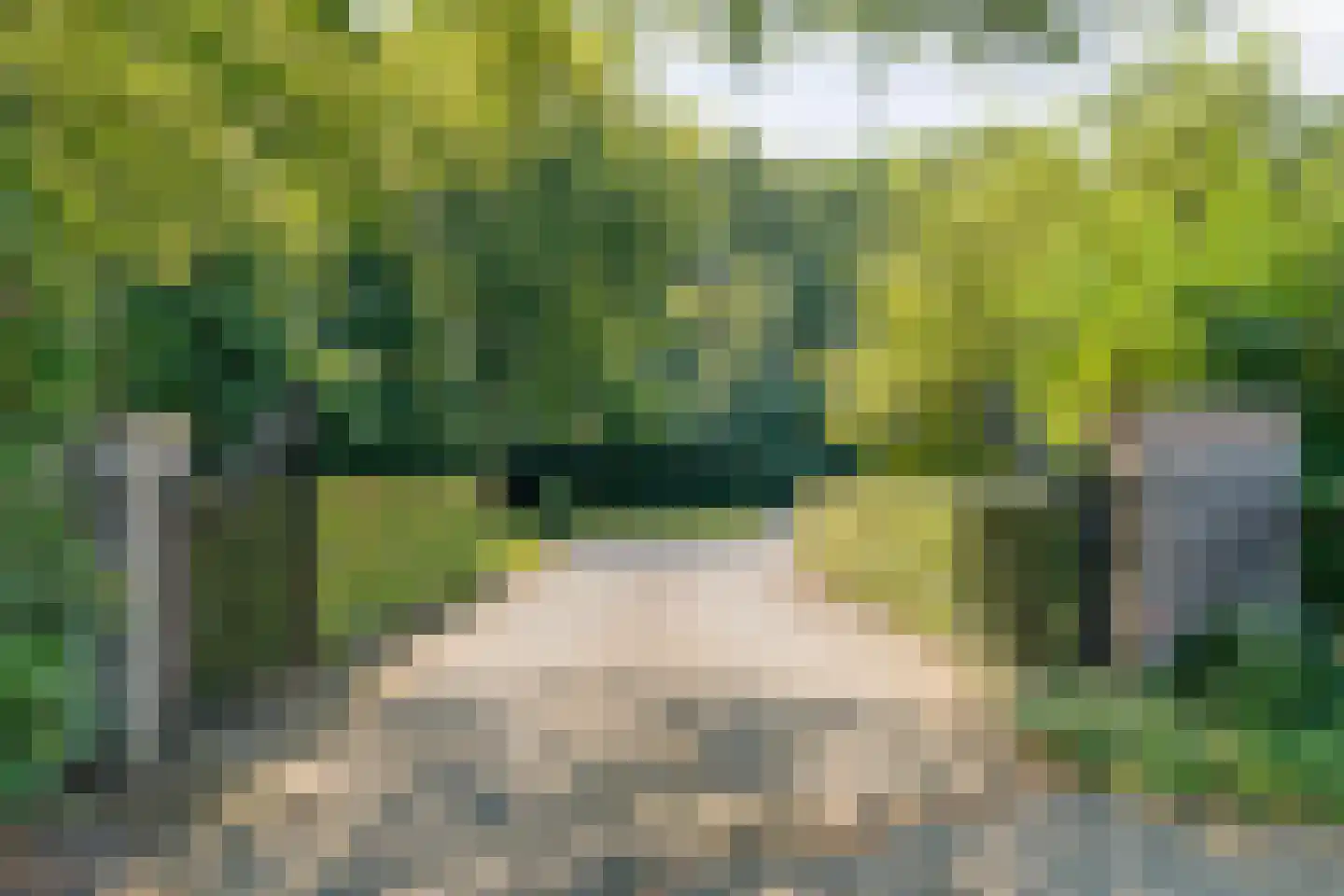 Spekopswijk 27 Dedemsvaart thumbnail 7