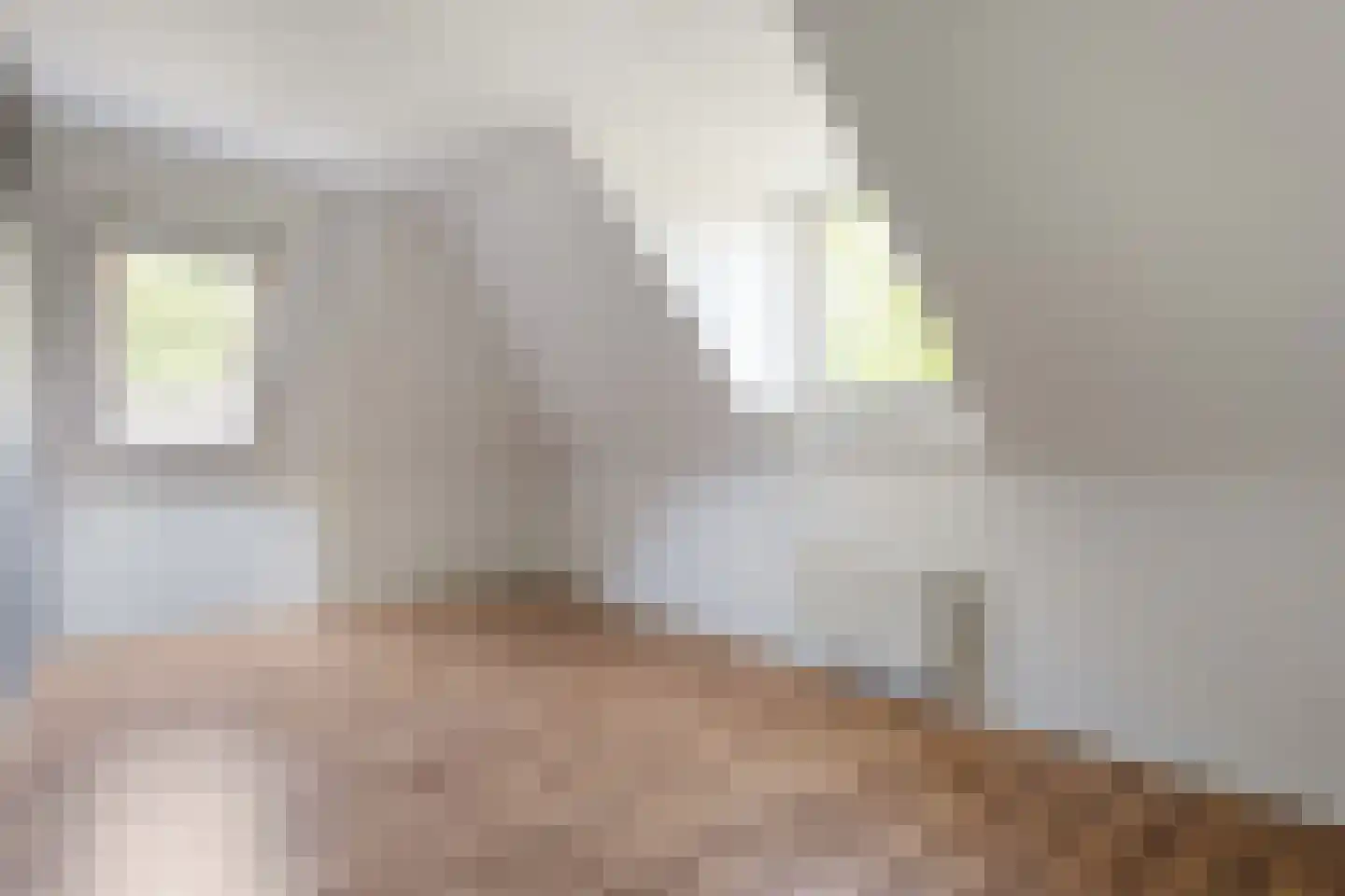 Spekopswijk 27 Dedemsvaart thumbnail 71