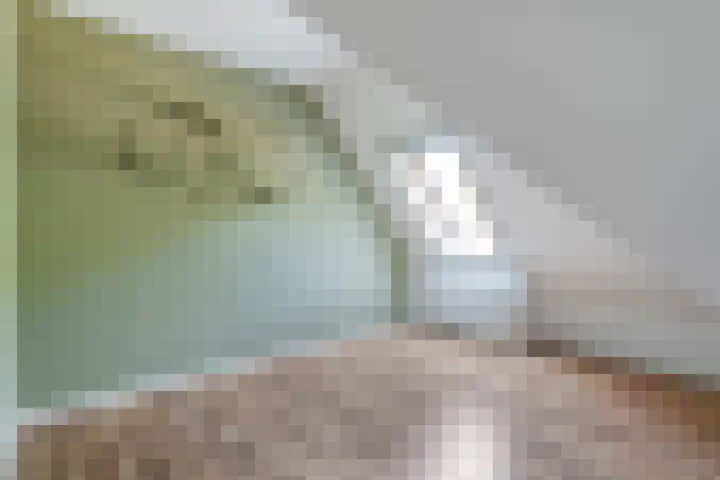 Spekopswijk 27 Dedemsvaart thumbnail 73