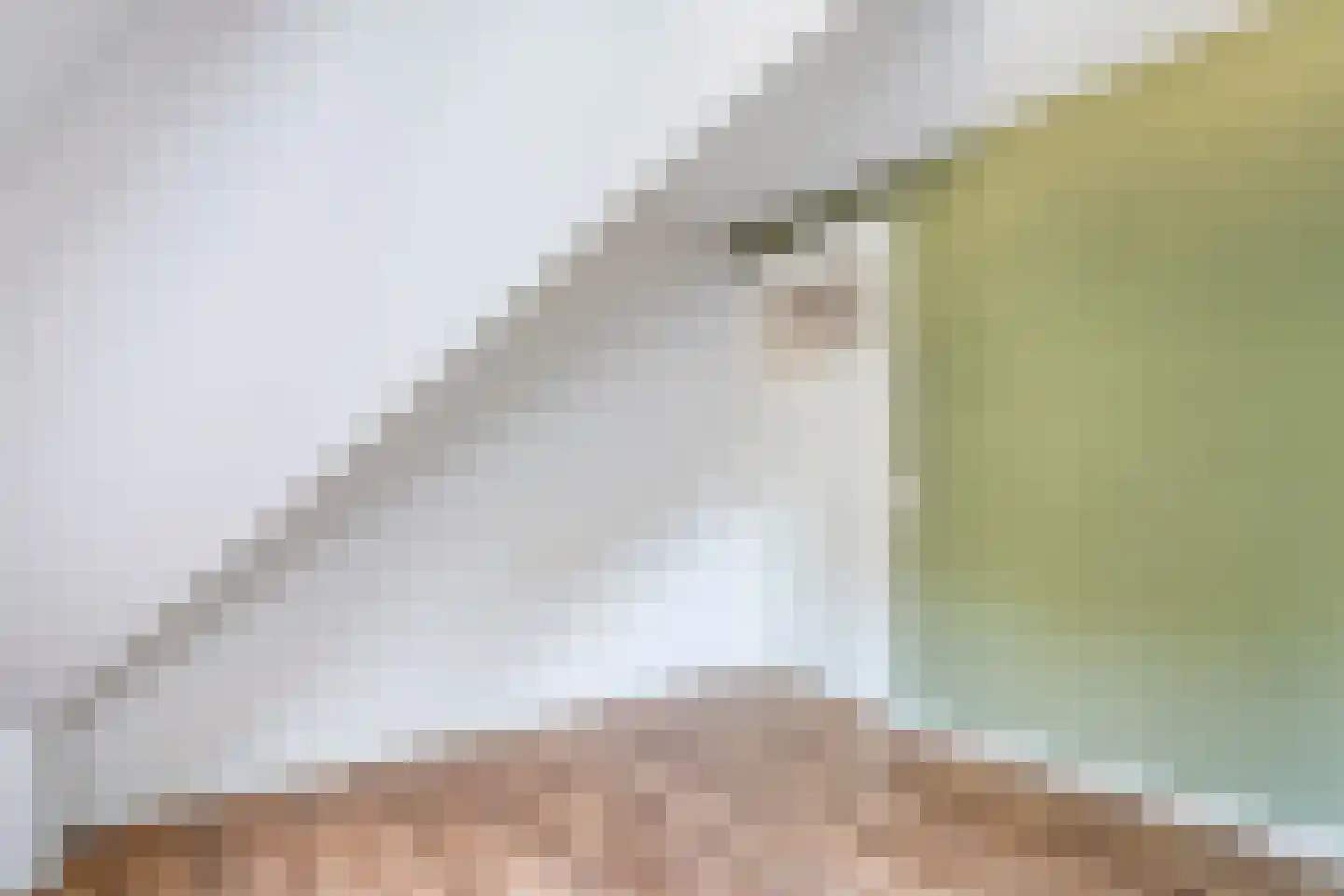 Spekopswijk 27 Dedemsvaart thumbnail 74