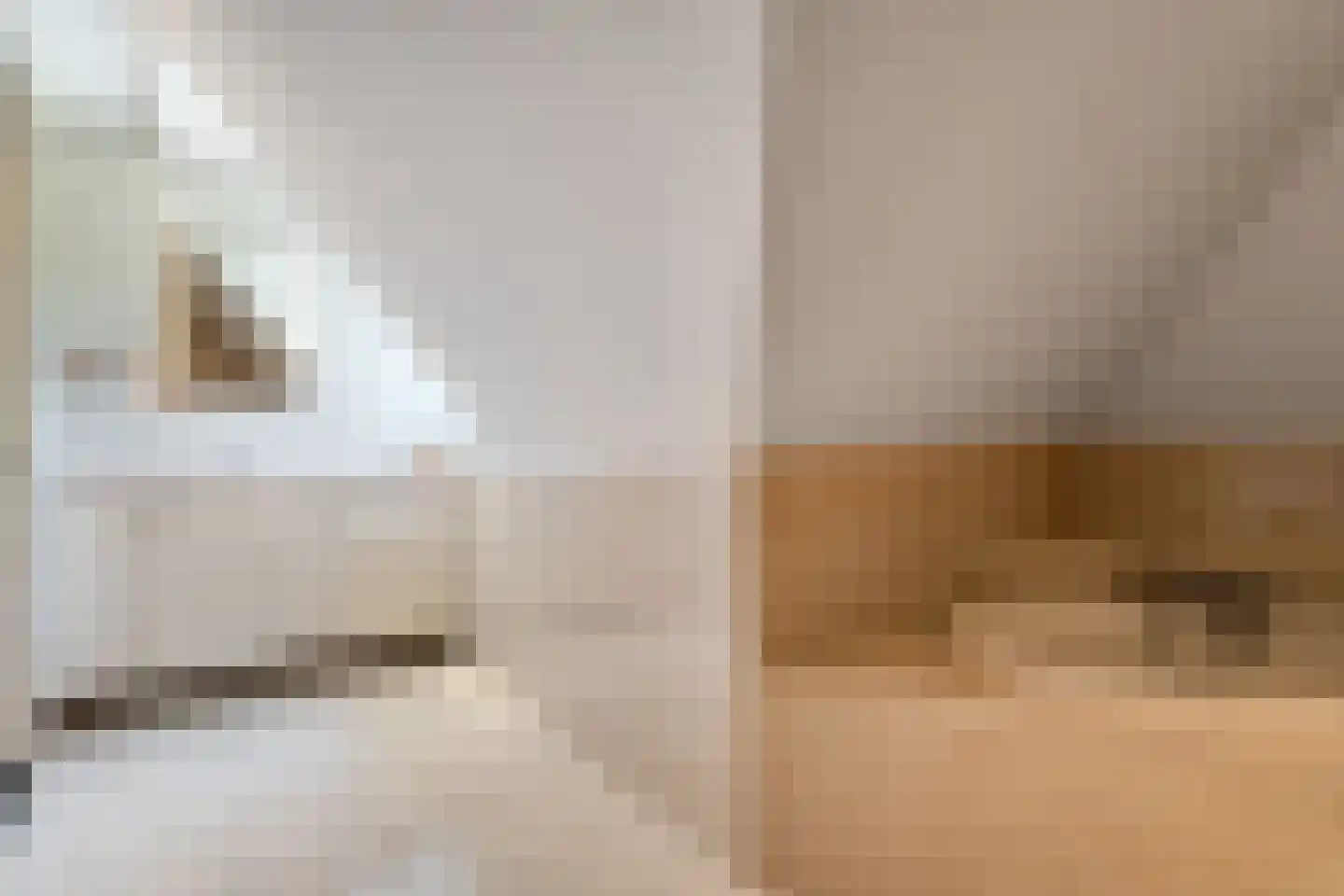 Spekopswijk 27 Dedemsvaart thumbnail 79