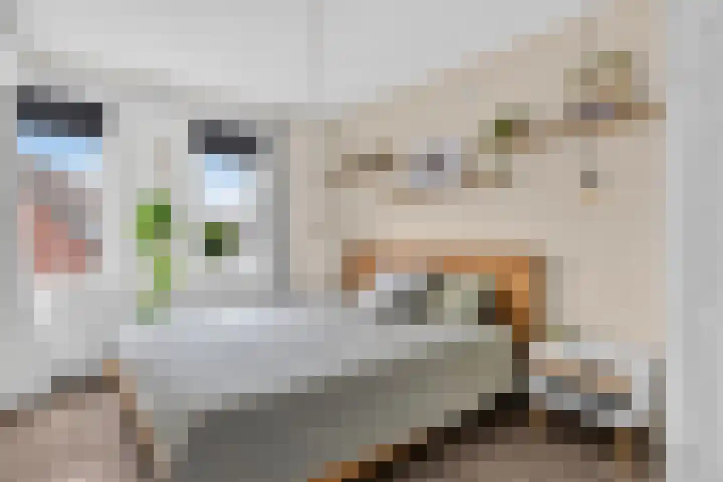 Speksnijdersweg 18 Landsmeer thumbnail 20