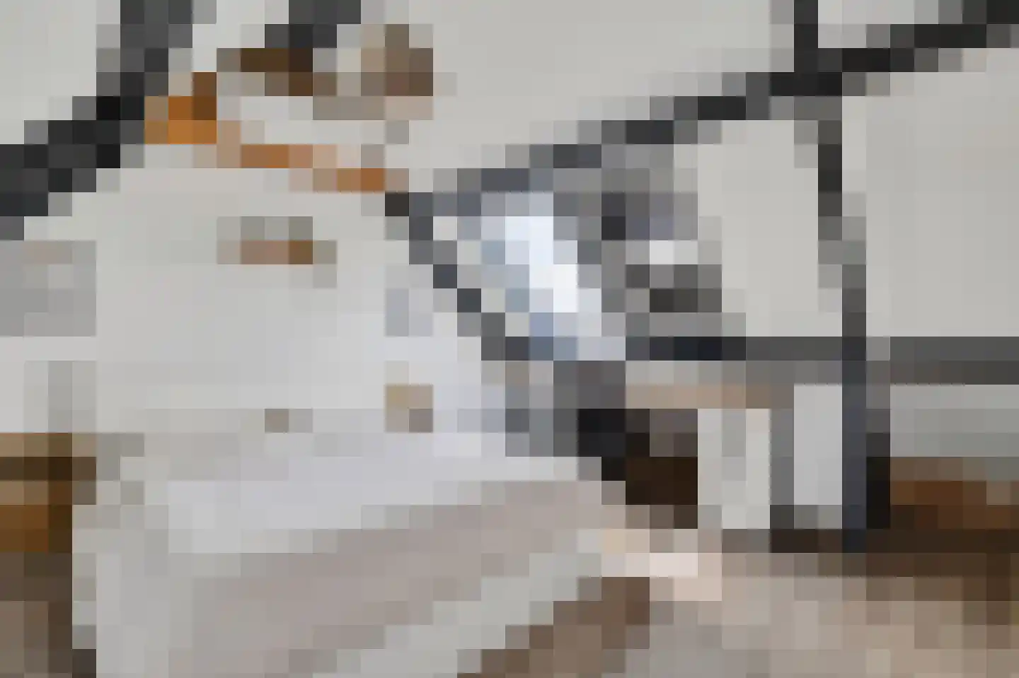 Speksnijdersweg 18 Landsmeer thumbnail 33