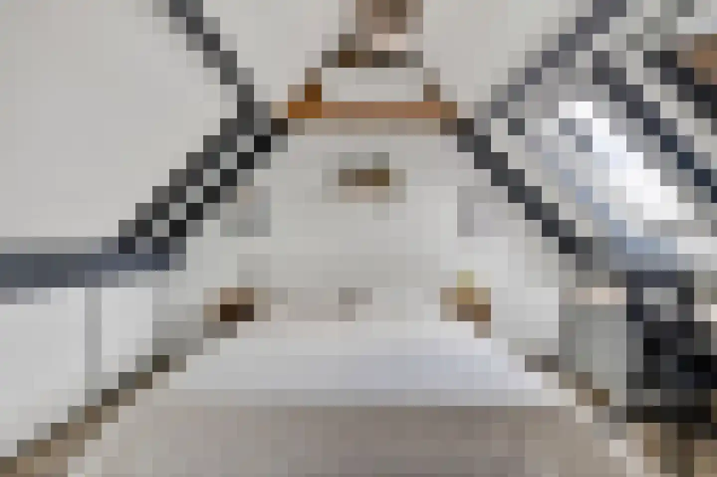 Speksnijdersweg 18 Landsmeer thumbnail 38