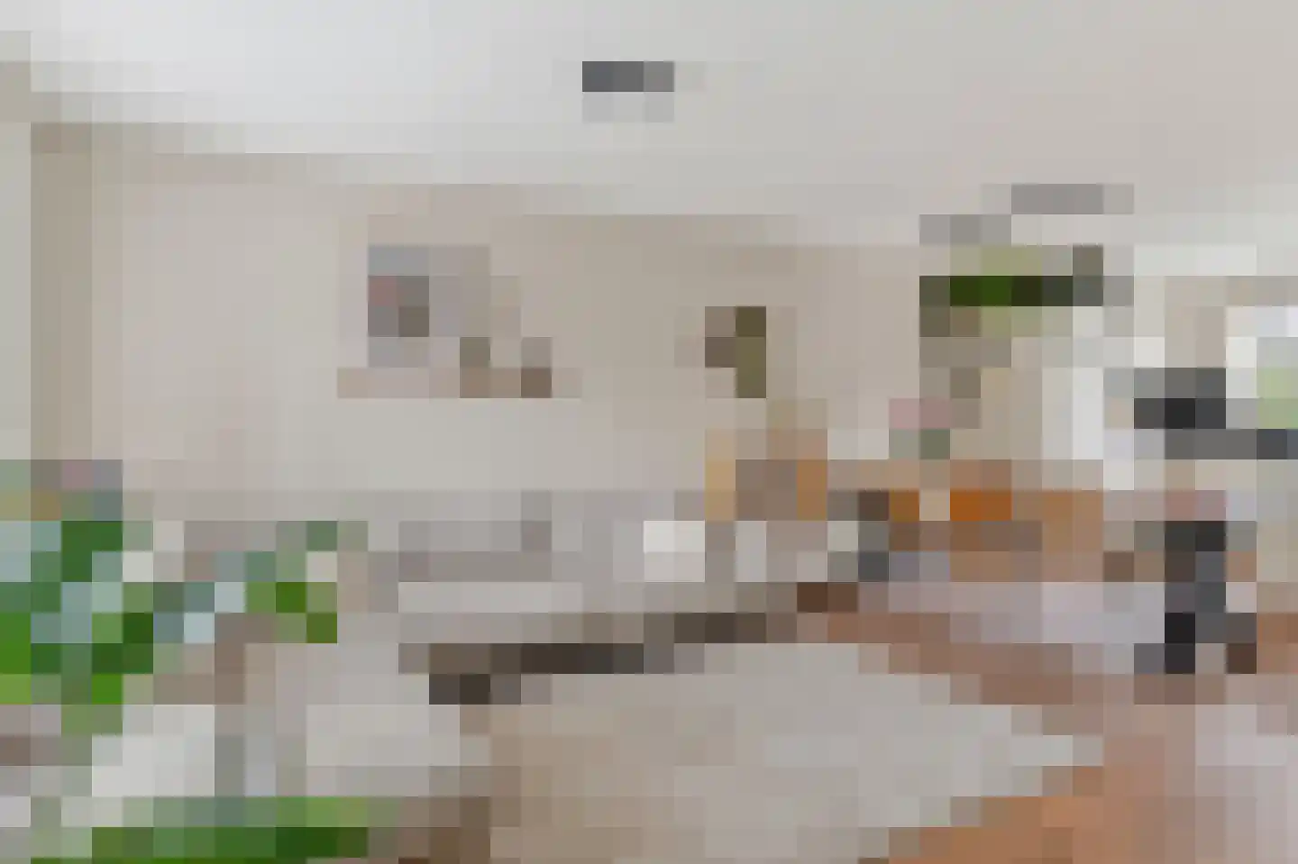 Speksnijdersweg 18 Landsmeer thumbnail 6