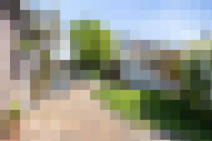 Speksnijdersweg 37 Landsmeer thumbnail 15