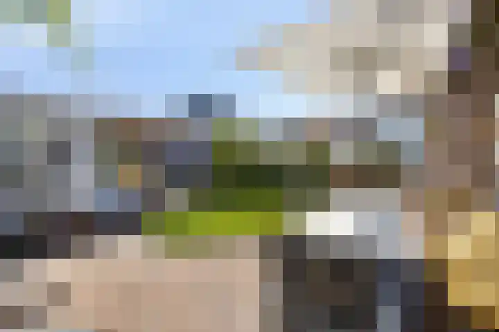 Speksnijdersweg 37 Landsmeer thumbnail 16