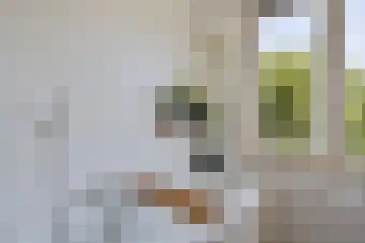 Speksnijdersweg 37 Landsmeer thumbnail 25
