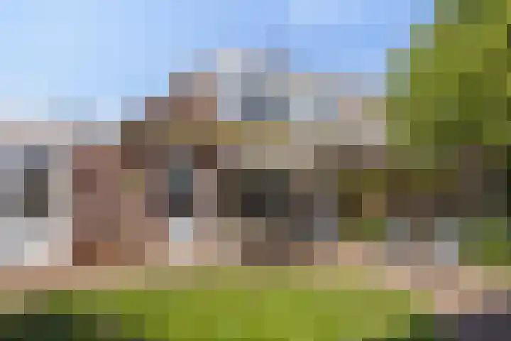 Speksnijdersweg 37 Landsmeer thumbnail 37