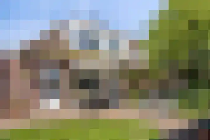 Speksnijdersweg 37 Landsmeer thumbnail 38