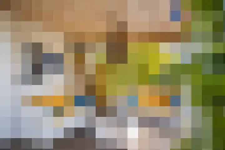 Speksnijdersweg 37 Landsmeer thumbnail 39