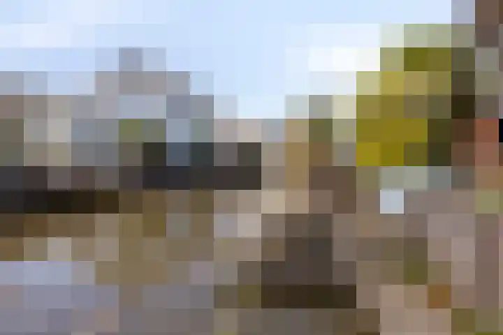 Speksnijdersweg 37 Landsmeer thumbnail 41