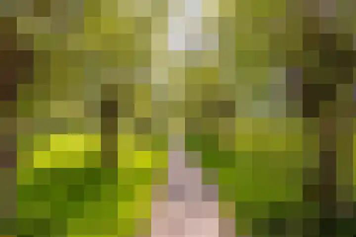 Speksnijdersweg 37 Landsmeer thumbnail 43