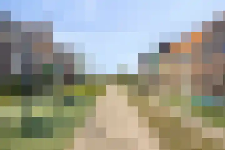 Speksnijdersweg 37 Landsmeer thumbnail 44