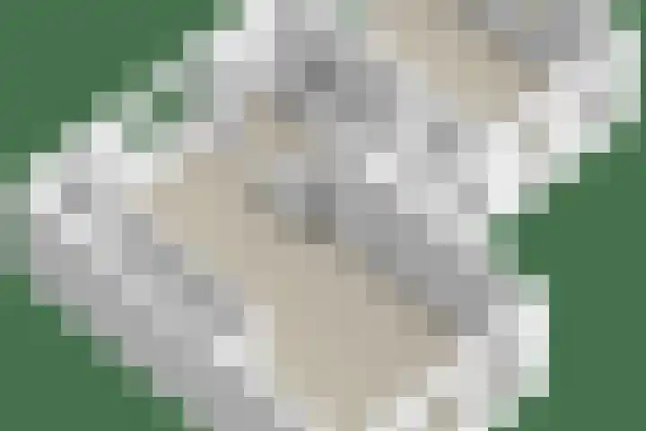 Speksnijdersweg 37 Landsmeer thumbnail 49