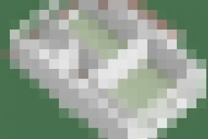 Speksnijdersweg 37 Landsmeer thumbnail 50