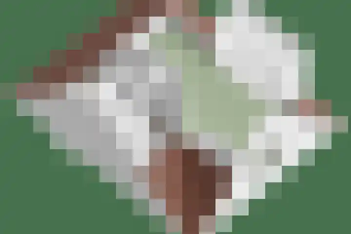Speksnijdersweg 37 Landsmeer thumbnail 51