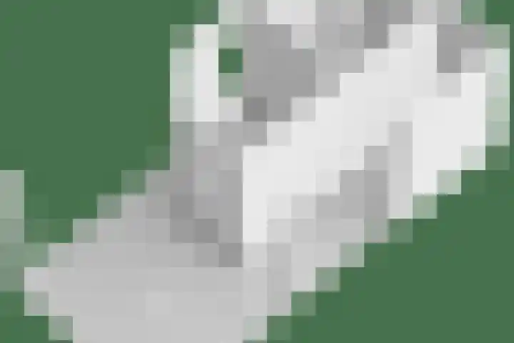 Speksnijdersweg 37 Landsmeer thumbnail 52