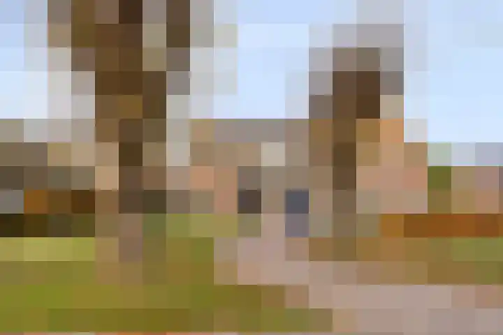 Spekstoep 1 Gieten foto 2