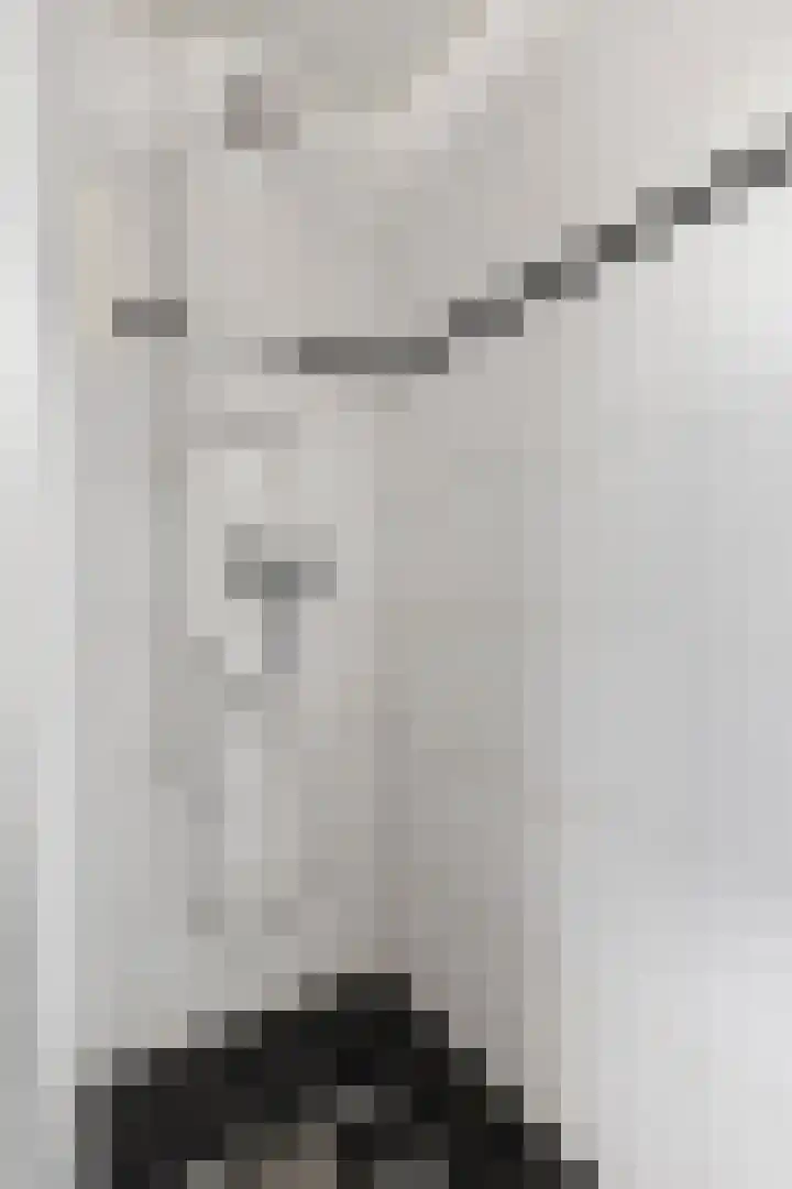 Spekstoep 1 Gieten thumbnail 31