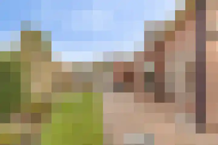 Spekstoep 1 Gieten thumbnail 37