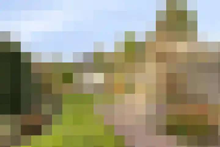 Spekstoep 1 Gieten thumbnail 39