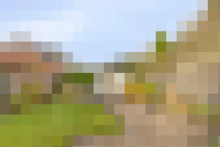 Spekstoep 1 Gieten thumbnail 40