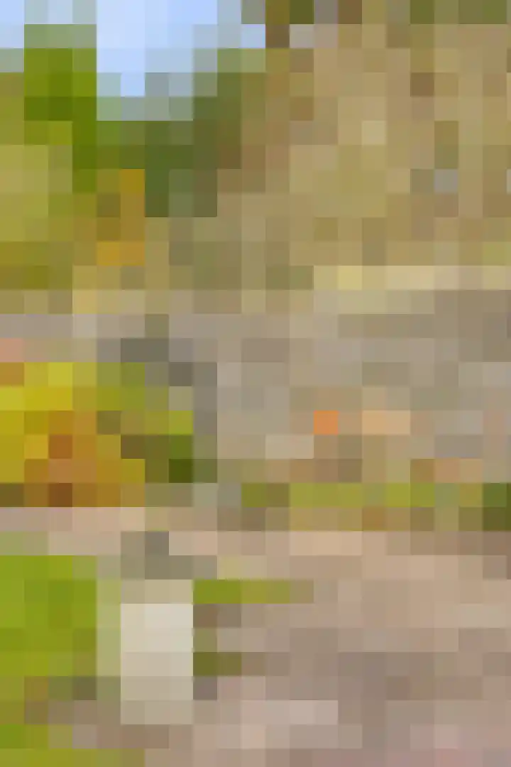 Spekstoep 1 Gieten thumbnail 44