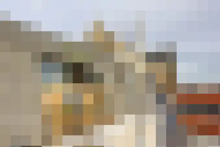 Spekstraat 2 C Haarlem thumbnail 28