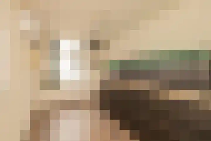 Speldenmakerssteeg 16 Gouda thumbnail 31
