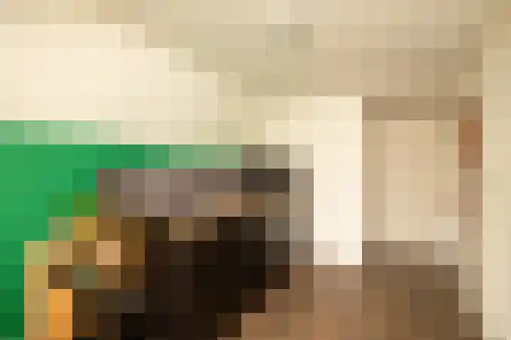 Speldenmakerssteeg 16 Gouda thumbnail 32