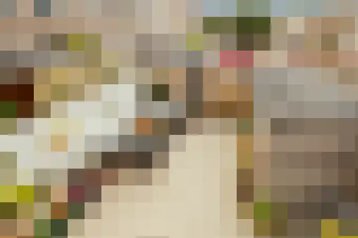 Speldenmakerssteeg 16 Gouda thumbnail 39
