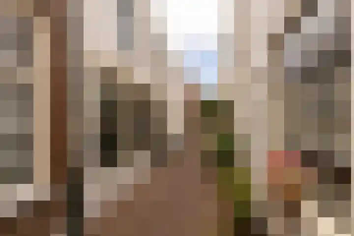 Speldenmakerssteeg 16 Gouda thumbnail 46