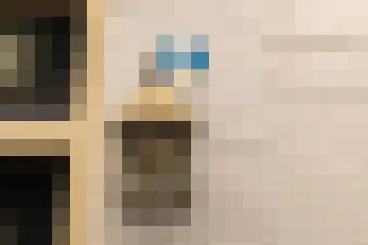 Speldenmakerssteeg 16 Gouda thumbnail 47