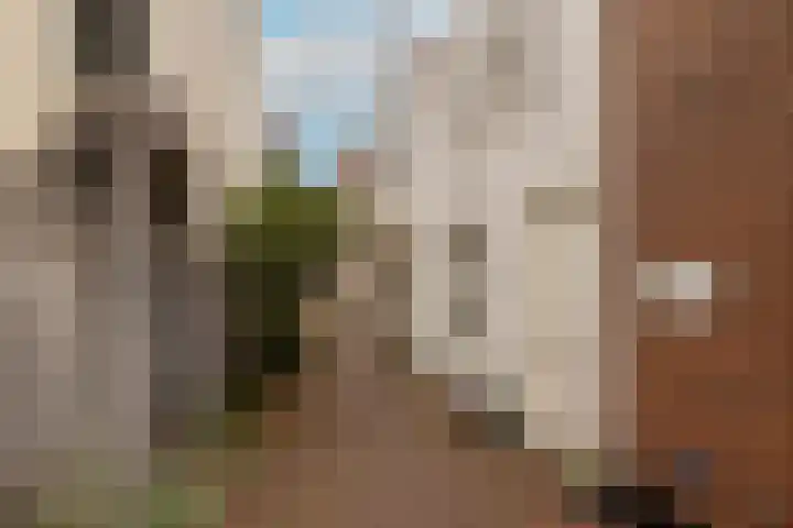 Speldenmakerssteeg 16 Gouda thumbnail 49