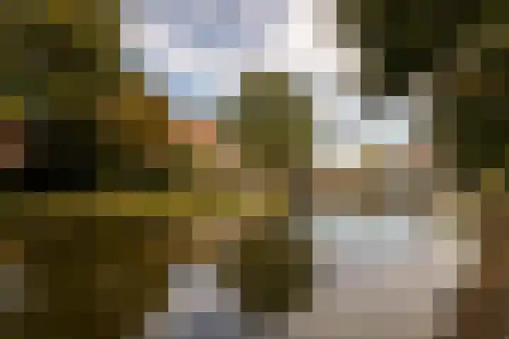 Speldenmakerssteeg 16 Gouda thumbnail 51