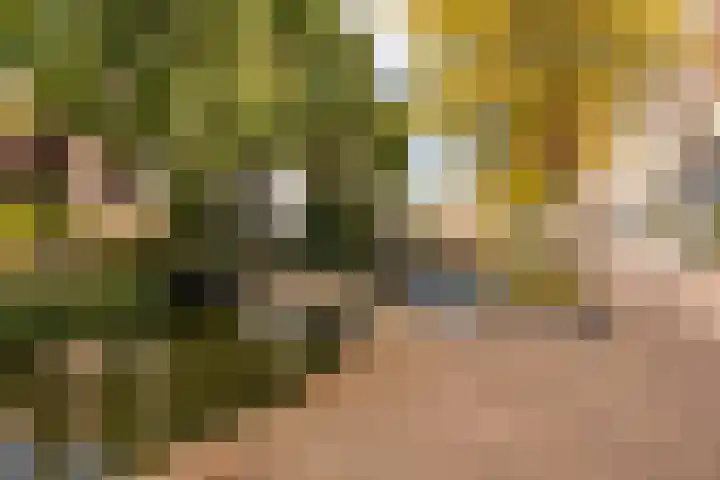 Speldenmakerssteeg 16 Gouda thumbnail 53