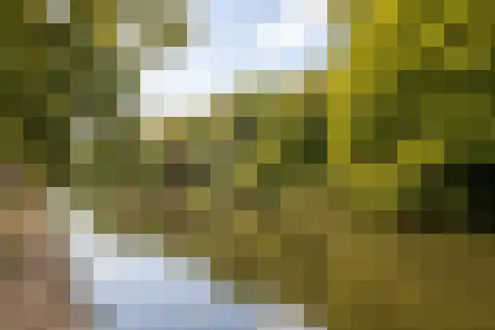 Speldenmakerssteeg 16 Gouda thumbnail 54
