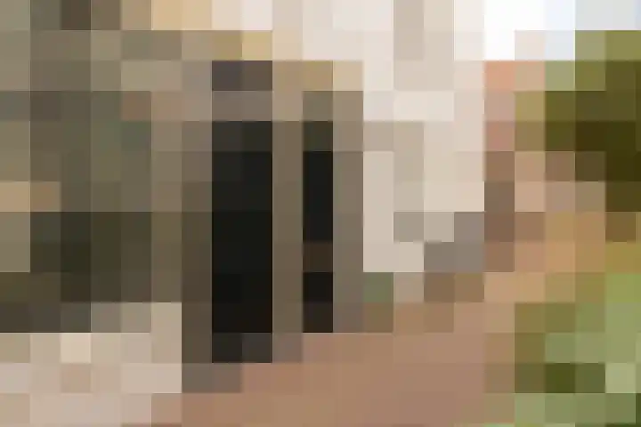 Speldenmakerssteeg 16 Gouda thumbnail 7
