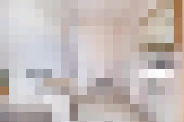 Speldenmakerssteeg 4 Gouda thumbnail 13