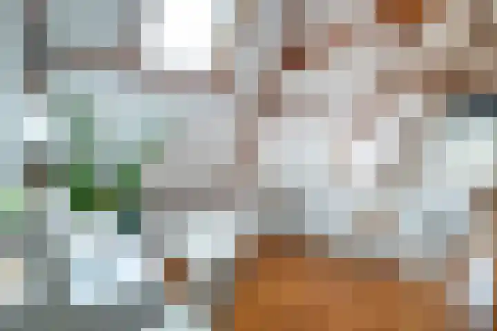 Speldenmakerssteeg 4 Gouda thumbnail 14