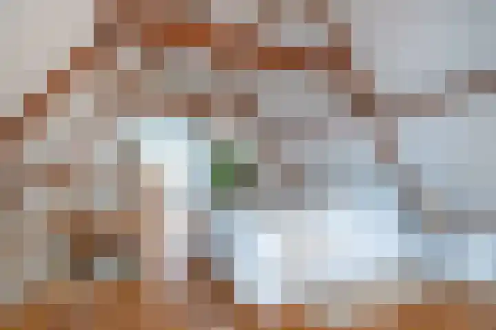 Speldenmakerssteeg 4 Gouda thumbnail 16