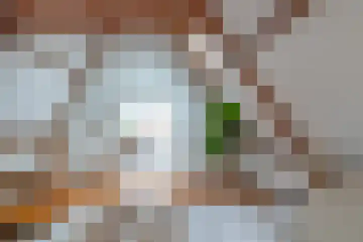 Speldenmakerssteeg 4 Gouda thumbnail 17