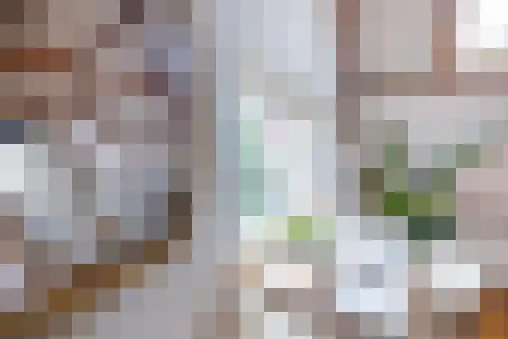 Speldenmakerssteeg 4 Gouda thumbnail 18