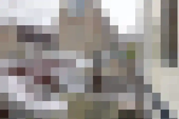 Speldenmakerssteeg 4 Gouda thumbnail 22