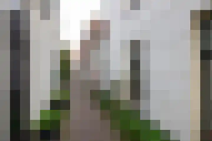 Speldenmakerssteeg 4 Gouda thumbnail 25