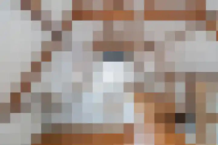 Speldenmakerssteeg 4 Gouda thumbnail 5