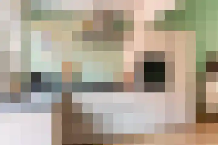 Speldenmakerssteeg 9 Gouda thumbnail 12