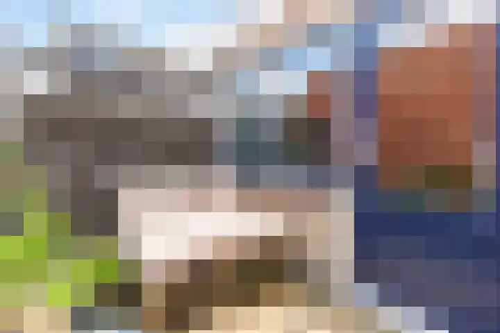 Speldenmakerssteeg 9 Gouda thumbnail 16